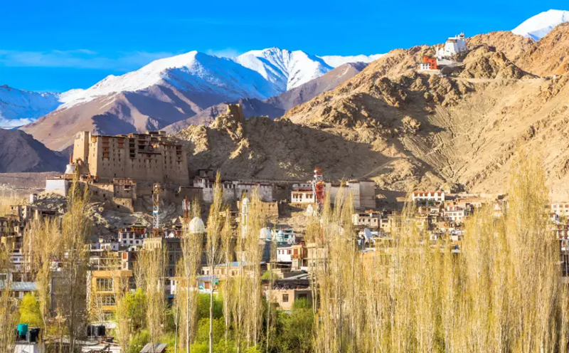 Ladakh Tour Packages